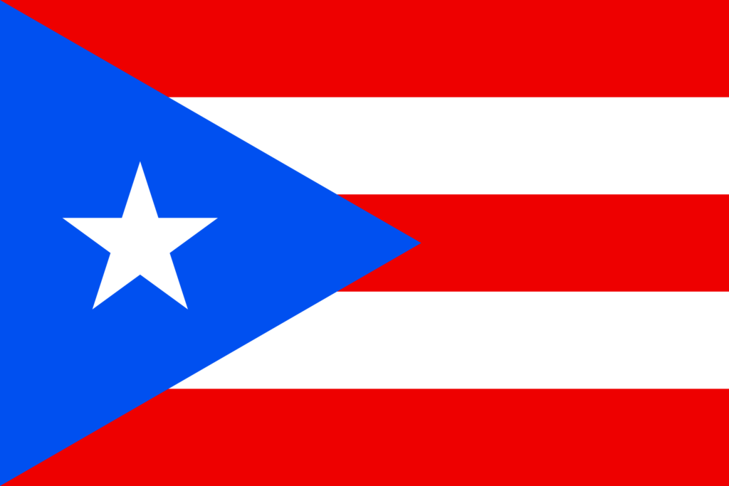 Bandera Puerto Rico - Instituto Mejores Gobernantes