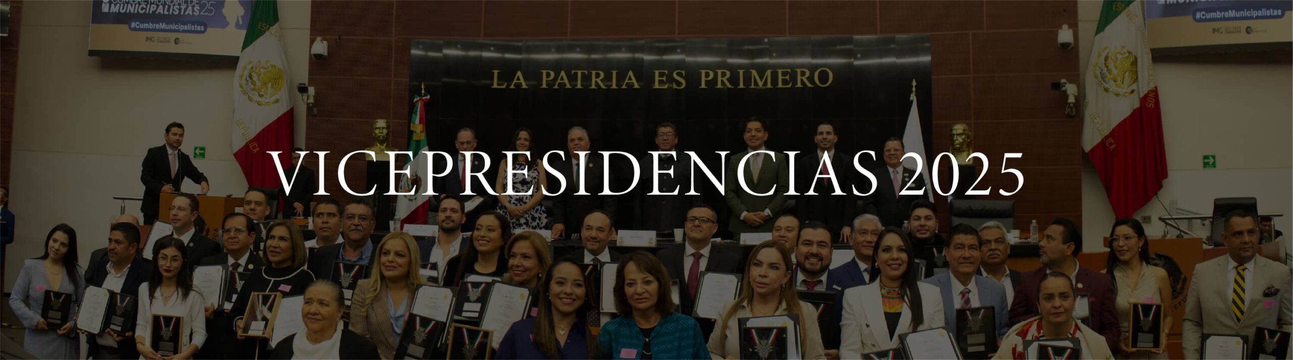 Vicepresidentes 2025 Instituto Mejores Gobernantes